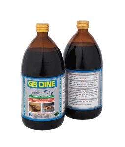 GB DINE - Diệt khuẩn iodine thế hệ mới, đặc trị đen mang đốm đen, mòn đuôi, cụt râu trên tôm