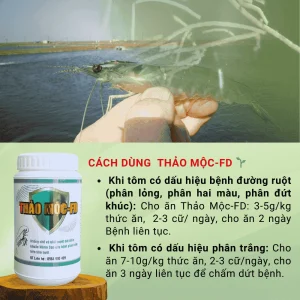 cach sư dung thao moc fd trị phan trang