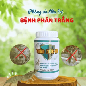 thao moc fd phong trị benh phan trang