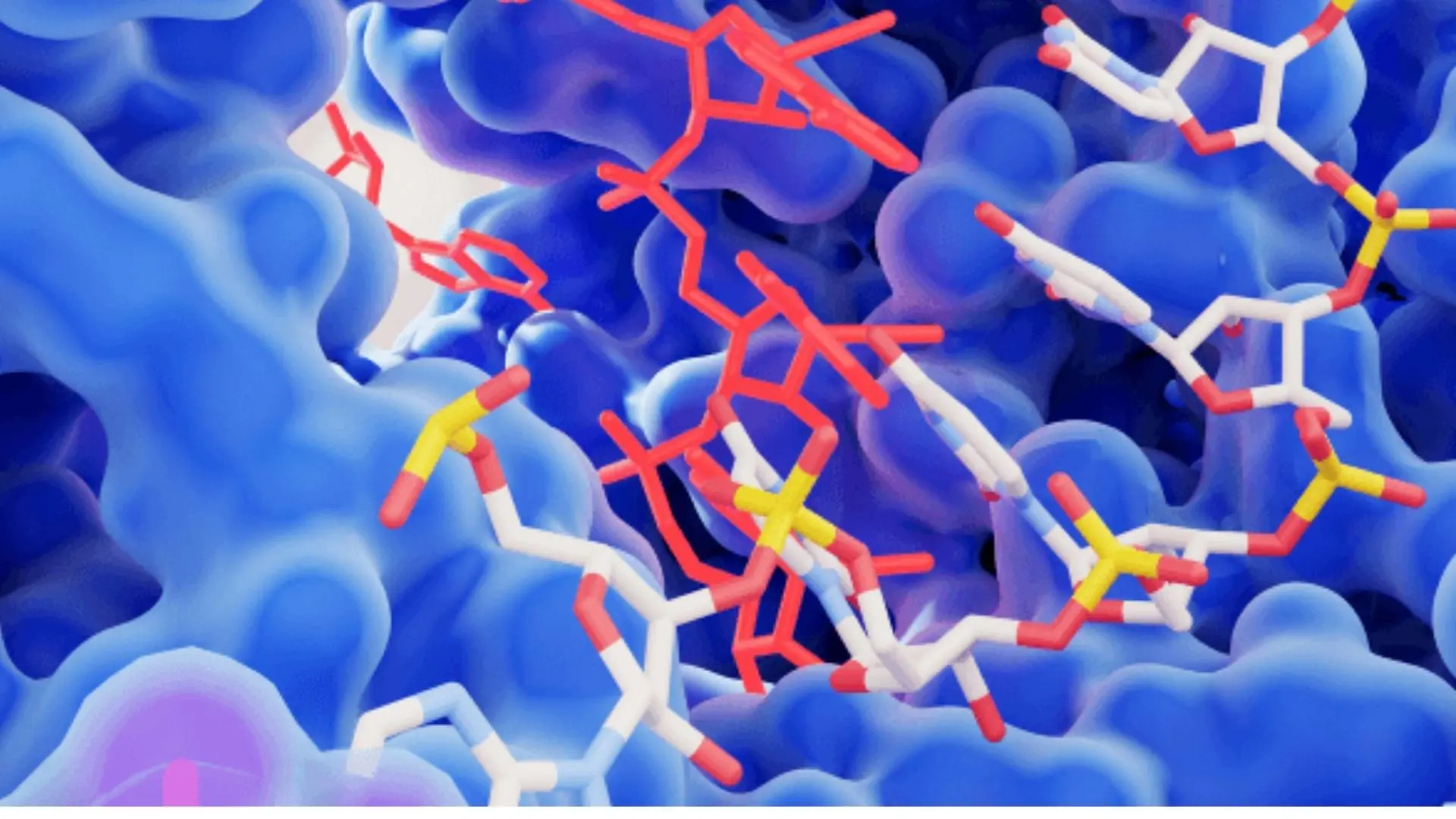 Enzyme-cho-tom-1