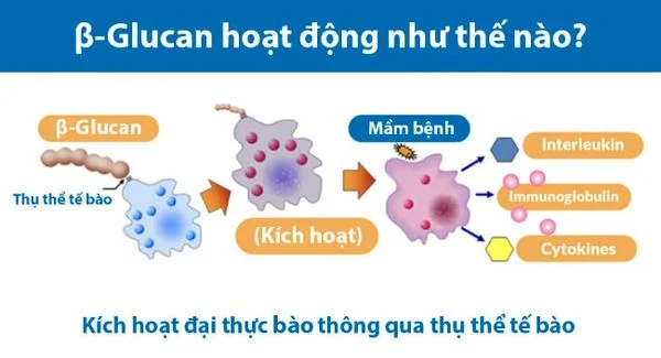thuc_bao_4de1ddc87c074d849b6422e85962b735_grande