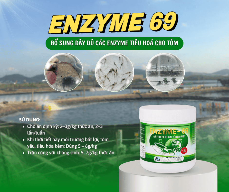 Enzyme cho tôm - Lợi ích và cách dùng hiệu quả Enzyme 69 Enzyme-cho-tôm-enzyme69-2