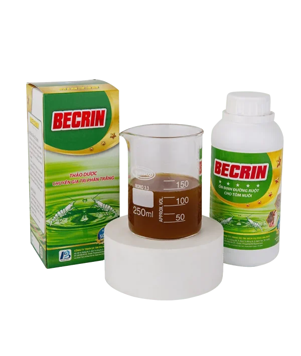 BECRIN - Thảo dược chuyên gia trị tôm bị phân trắng 02