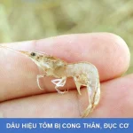 Tuyển dụng nhân viên kinh doanh