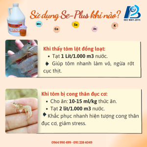 Cách sử dụng khoáng tạt cho tôm SE-Plus 2