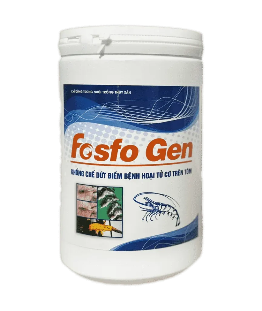 Fosfo Gen – Giải pháp tối ưu khống chế hoại tử cơ trên tôm-3-min