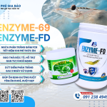 Ký sinh trùng đường ruột trên tôm: Nguyên nhân gây phân trắng, EHP và giải pháp xử lý hiệu quả từ Becrin